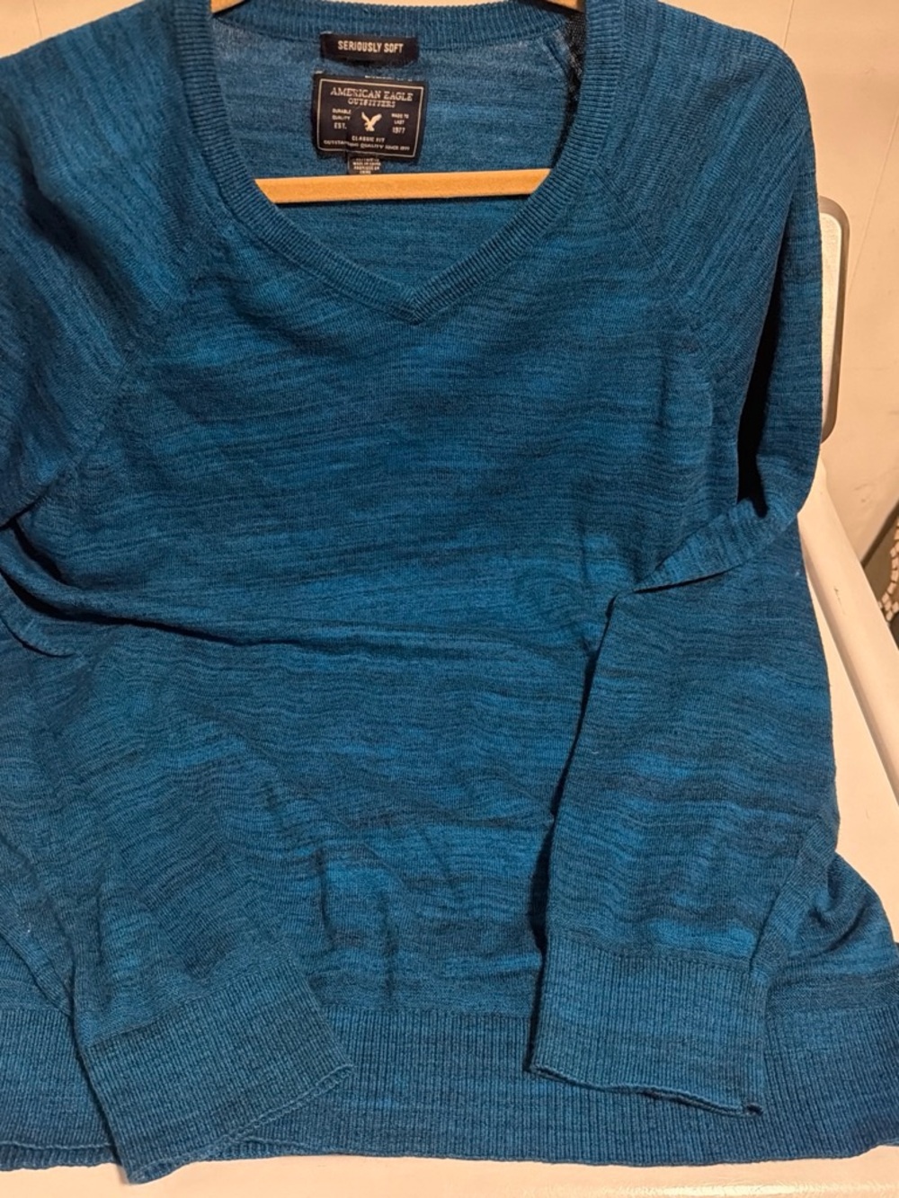 American Eagle Outfitters Men’s Teal V-Neck Sweater